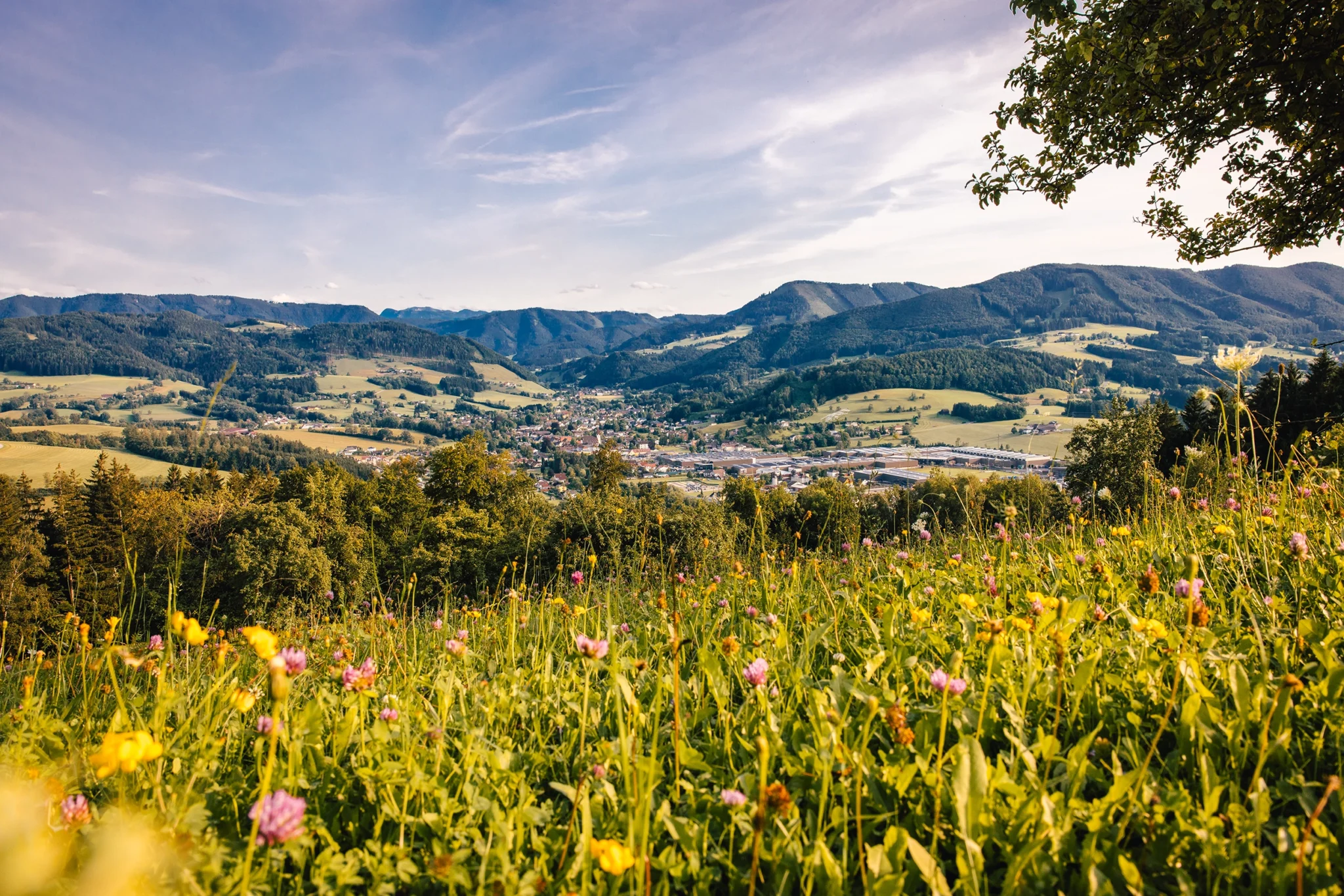 Ein Panoramablick auf ein Tal mit einer kleinen Stadt, umgeben von grünen Hügeln und Bergen in der Ferne. Der Vordergrund ist voller leuchtender Wildblumen unter einem klaren blauen Himmel.