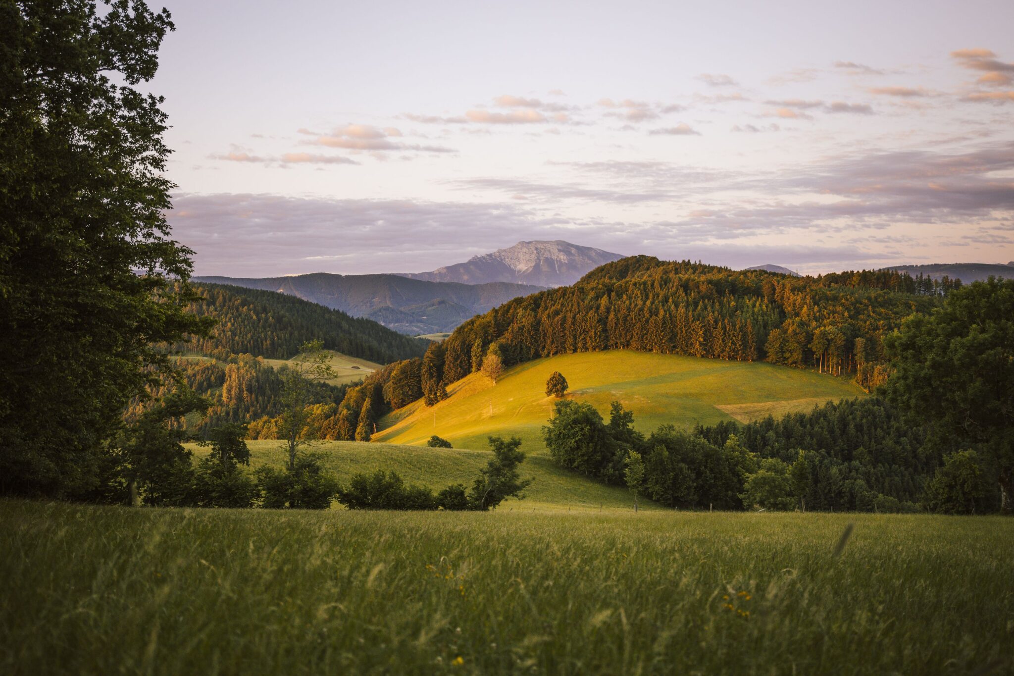 sanfte Mostviertler Alpenvorland mit der eindrucksvollen Bergwelt rund um Ötscher, Dürrenstein, Hochkar und Voralpe
